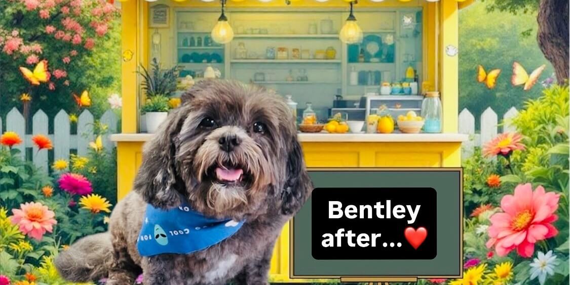 Bentley After