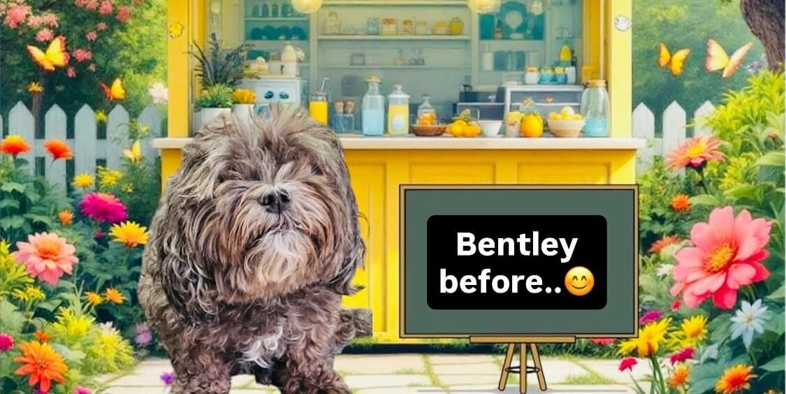 Bentley Before