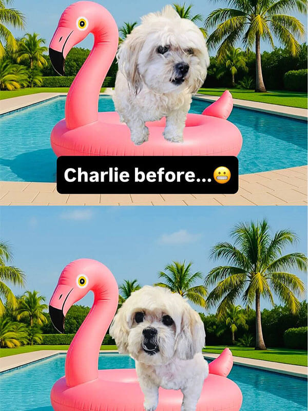 Charlie