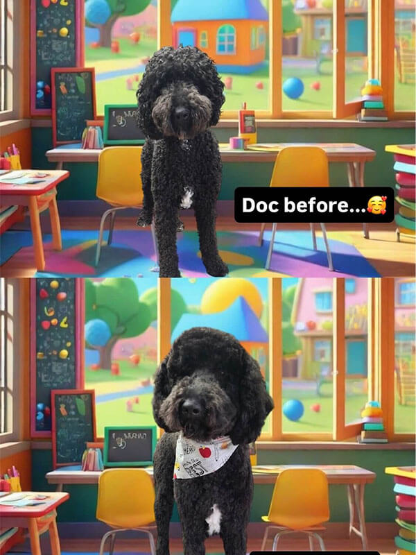 Doc