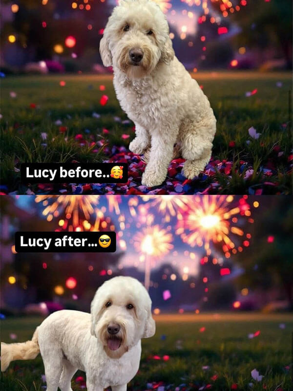 Lucy
