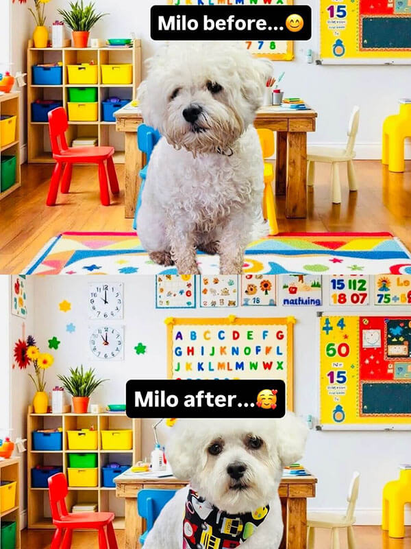 Milo