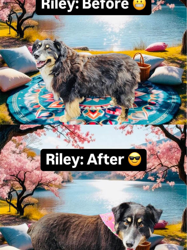 Riley
