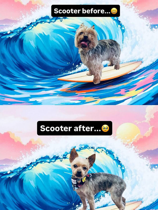 Scooter