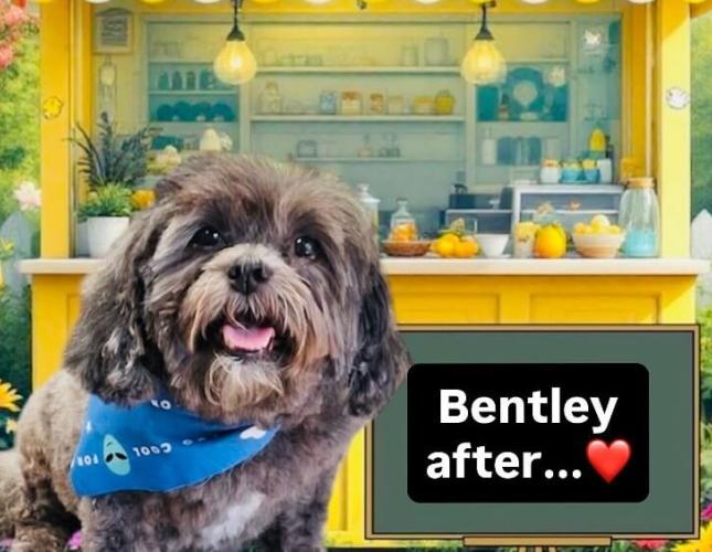 Bentley After