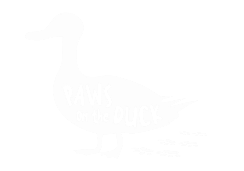Paws on the Duck